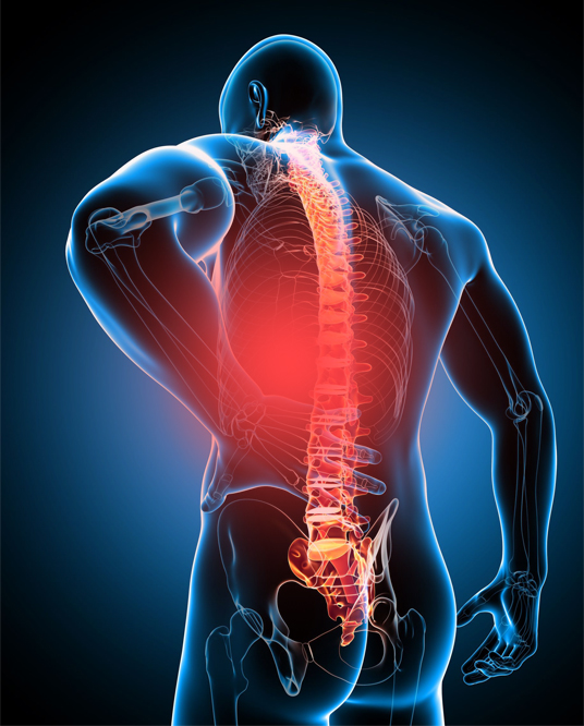 Chiropractor For Back Pain